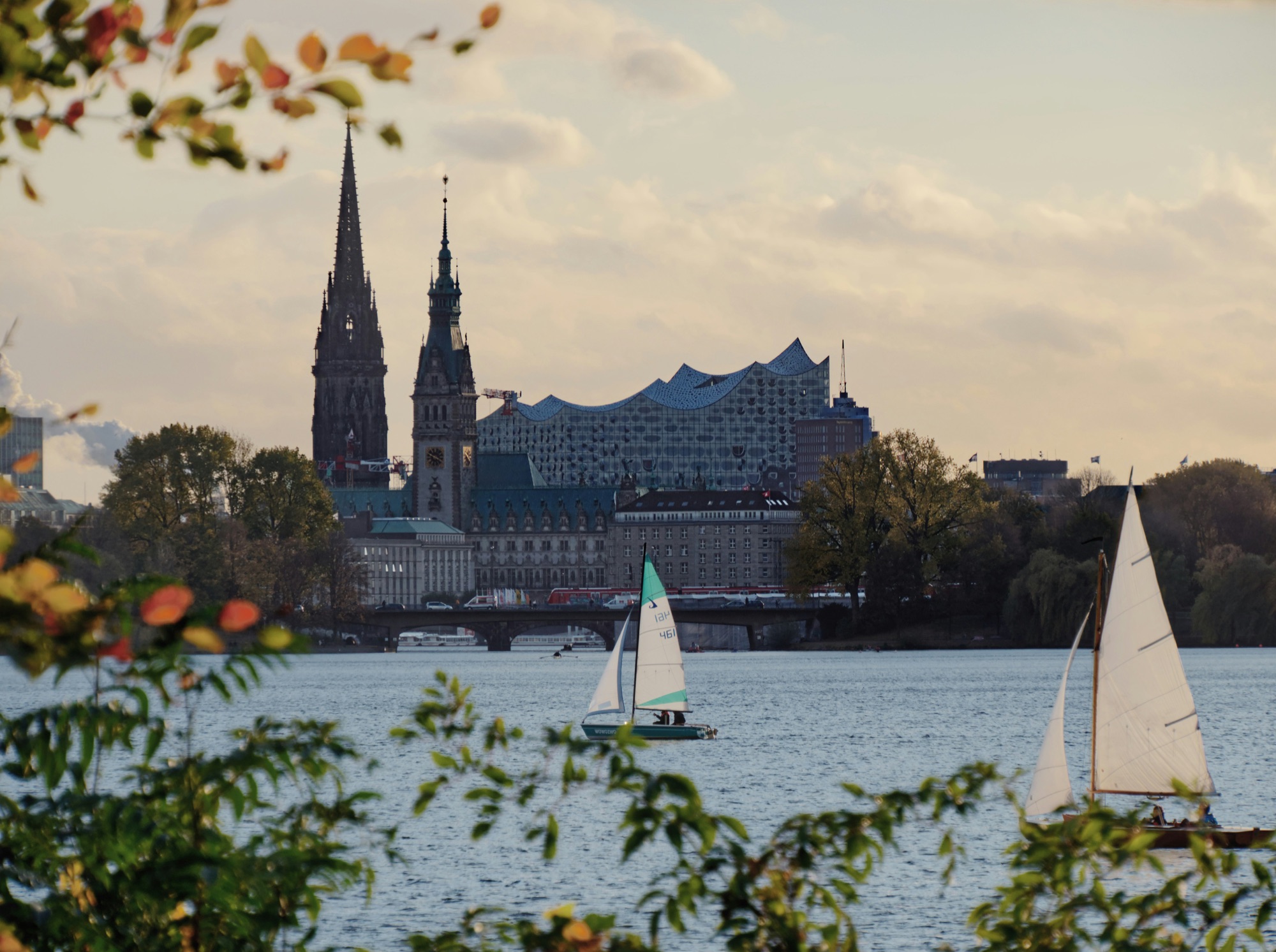 Segelboote auf der Alster in Hamburg im Herbst, dahinter das Rathaus, der Turm von St. Nikolai und die Elbphilharmonie, im Vordergrund buntes Laub