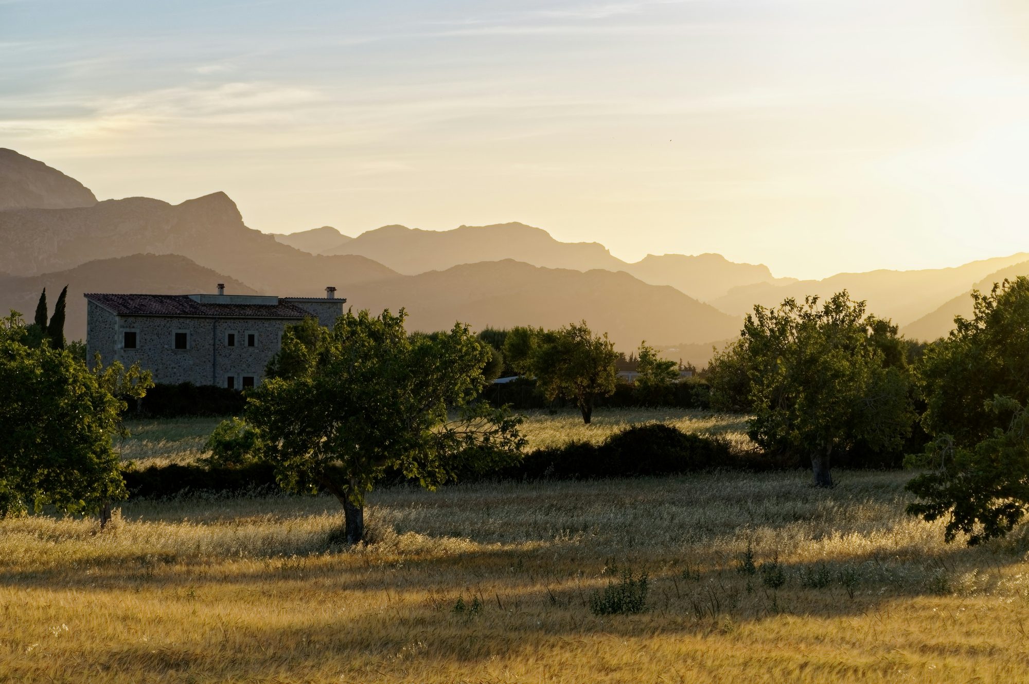 Mallorcan landscape in the evening light: a natural stone house among trees in a golden field, with mountain ridges against the light behind